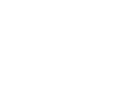 Vector 8